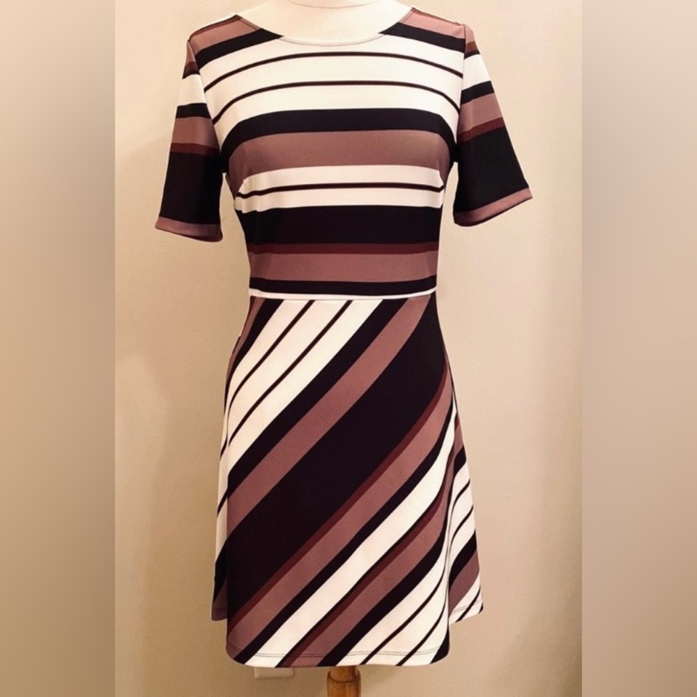 Boston Proper Brown Black Striped S Modern Minimalist Neutral Chic Earthy Dress